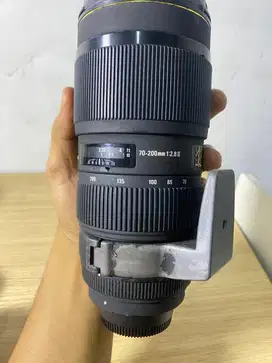 Sigma 70-200 f2.8 for nikon