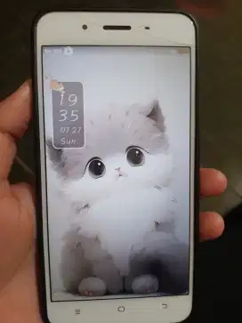 Jual hp Vivo Y66 ram