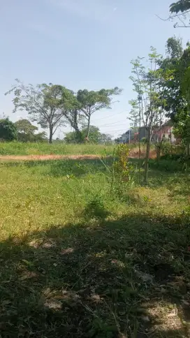 Terima jasa Panggilan setrika baju
