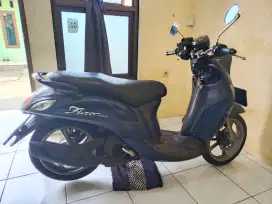 FINO GRANDE 2019