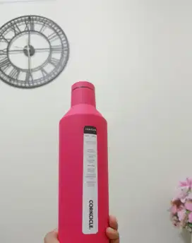 Botol Corkcicle Warna Rare