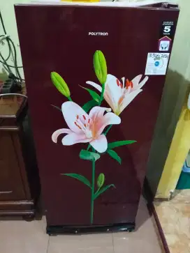 Lemari es 1 pintu