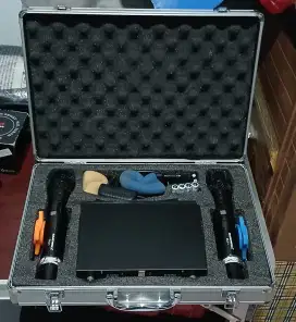 Mic / Mik Wireless Profesional Hardwell CLX-1 Original Anti Feedback