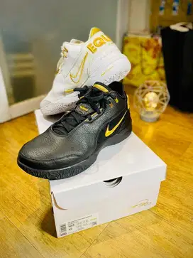 Sepatu Basket (Basketball Shoes) Lebron NXXT AMPD “EQUITY” Mismatch