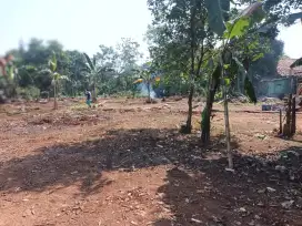 Tanah Murah Lokasi Strategis Cocok Untuk Investasi