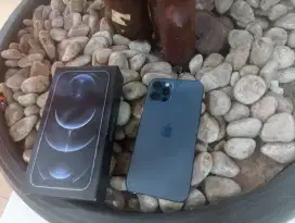 Iphone 12 pro 128gb jual member