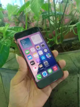 iPhone SE Gen 2 iBox resmi