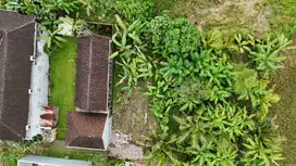 Prime Land for Rent in Pejeng Kangin, Gianyar-2 are-Close to Ubud