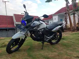 Honda Tiger Revo Putih Albino