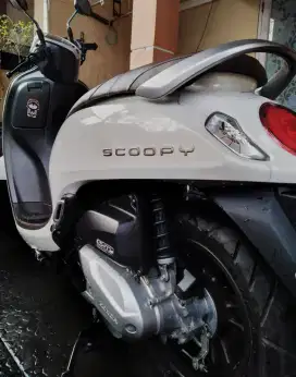 Scoopy Prestige 2024