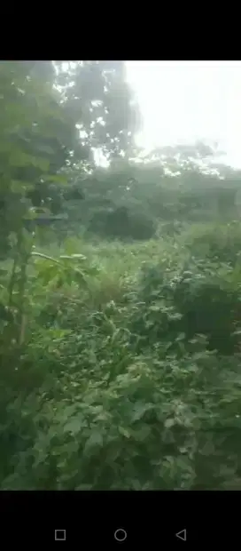 Disewakan Tanah Siap Bangun Minimal 3000 m² Bisa Perluasan Sampai 3 Ha