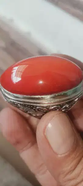 Pandan merah natural barang lawas