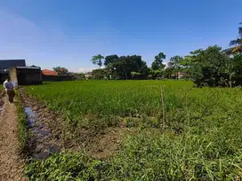 Sawah panutan raya cipadung kulon panyileukan bandung