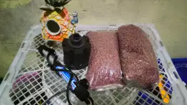 Jual peralatan akuarium