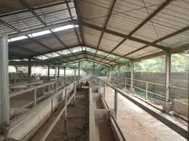 Tanah dan Bangunan Kandang Sapi 2,000 sqm
