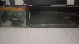 Jual aquarium beks layak pakai