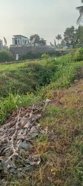 Tanah pinggir jln