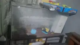 Aquarium + meja