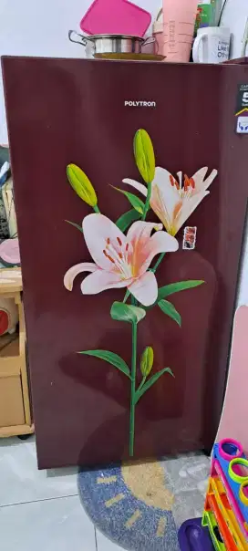 Kulkas Polytron 1 Pintu