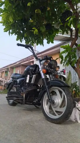 Kawasaki 250cc (2 silinder)
