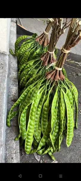 Jual pete jogja-boyolali