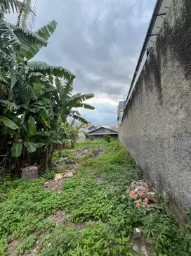 Dijual cepat TANAH SHM DARI TANGAN PERTAMA