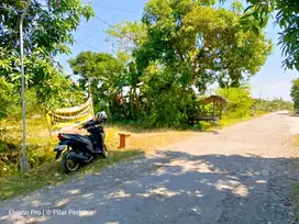 TANAH DEKAT KANTOR KECAMATAN SUKOREJO PONOROGO