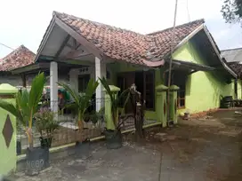 Dijual Cepat Tanah & Rumah di Kp Pangkalan Babelan Bekasi