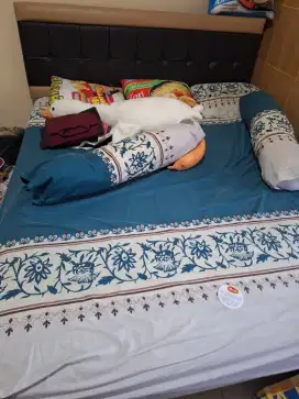 Jual Bed + Dipan Kayu 180 x 200 cm