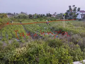 Dijual Cepat Tanah Hook 962 m² Strategis – Hanya 600 Juta!