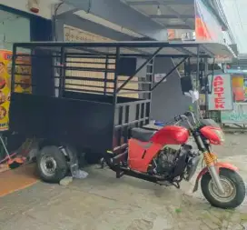 Roda 3 VIAR 300Cc