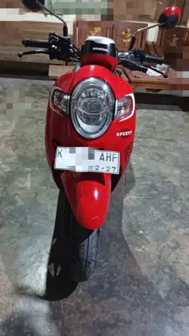 Honda scoopy 2017