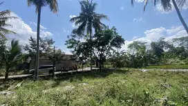 Tanah Pandowoharjo 500 Meter Obelix Village