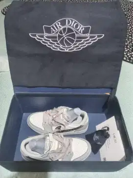 Nike air x Dior