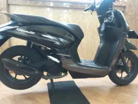 Honda Genio 2023