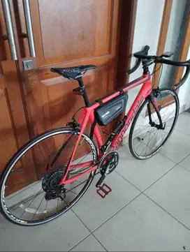 Cannondale Synapse Carbon 105 Disc (2020) - Sepeda Road Bike