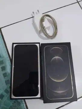 I phone 12 pro 256 ex ibox (gold)