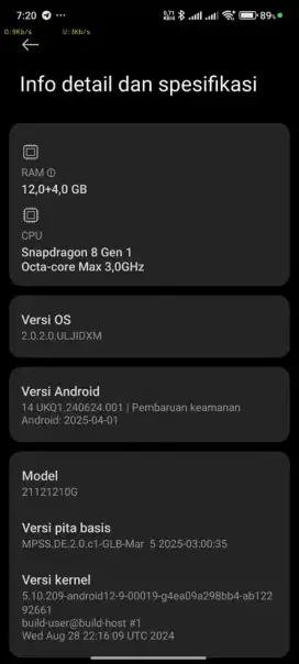 Xiaomi poco f4 gt batangan normal