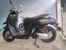 Honda Scoopy 110 cc