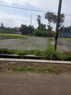 Tanah Sawah Bagus Murah di Jetis Bantul TS 003