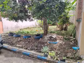 Di tanah luas 200 M2