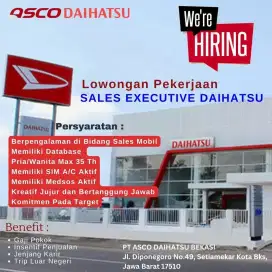 SALES EXECUTIVE DAIHATSU