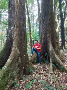Kerja apa saja yg penting halal