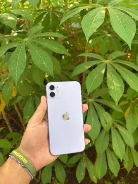 Ip 11 inter 64gb