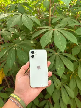 Ip 12 mini 128gb