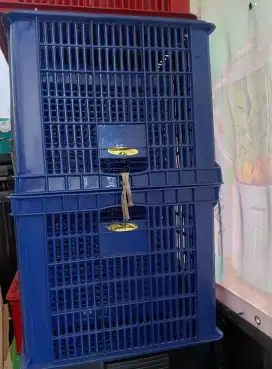 Keranjang industri warna gmcc kap 80 liter