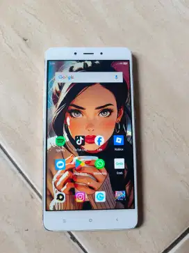 Xiomi redmi note 4