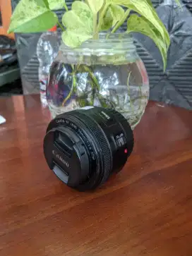 Lensa fix 50 STM for canon