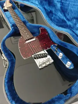 Aria Pro II TEG