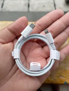 Kabel charger iPhone 13 C to Lighting